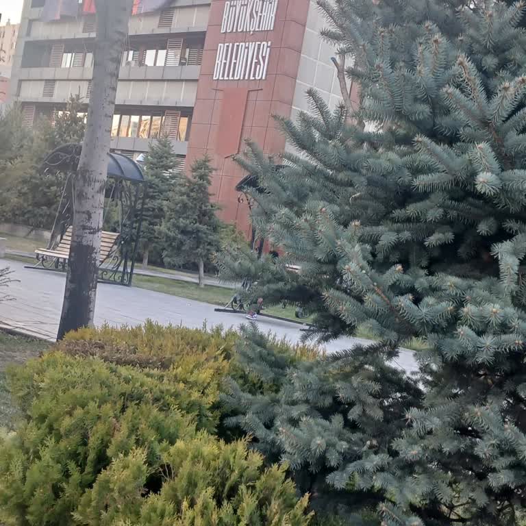 Kütüphane Personelinin Saygısız Üslubu, İzinsiz Çanta İncelemesi Ve Yanlış İthamı