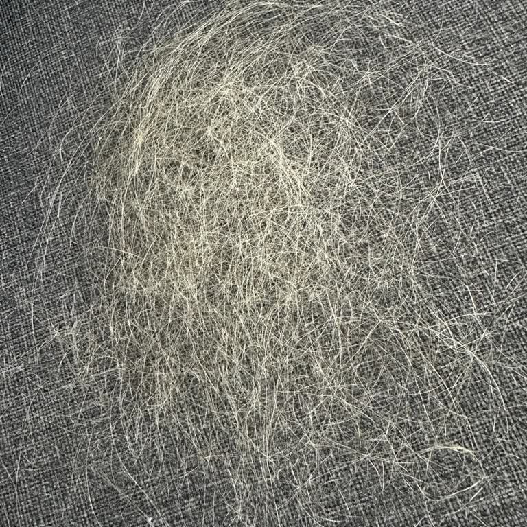 Saç Kaynağı Ve Açma İşlemi Tamamlanmadı, Saçım Ağır Dökülme Yaşadı Ve 24.000 TL İadesi Talebi