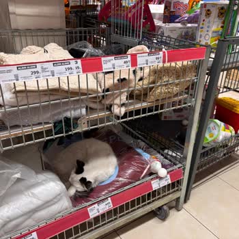 A101 Bayraklı Şubesinde Hijyen Ve Personel Sorunları