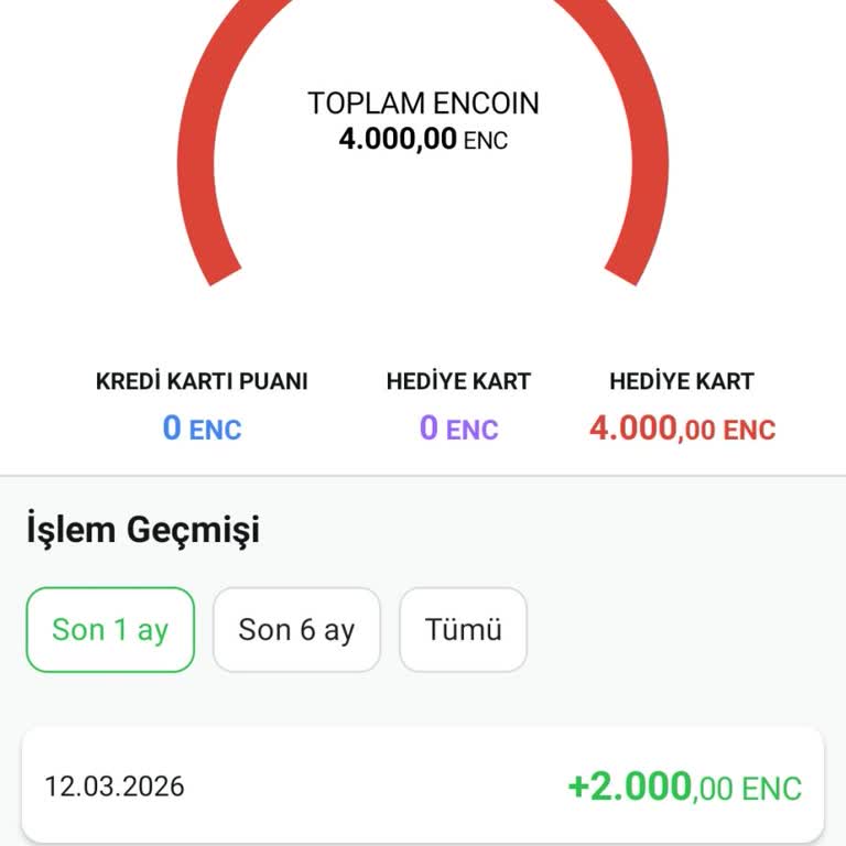 İade Yanlış Hesaba Aktarıldı Ve Bilet Görünmüyor