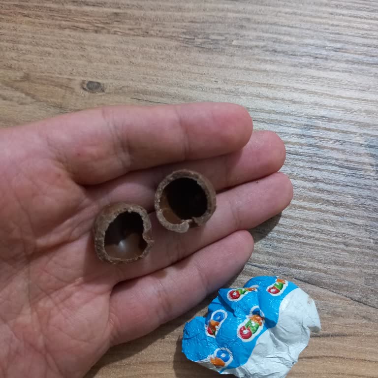 Şölen Ozmo Yumurtanın Boş Olması Tüketiciyi Mağdur Etti