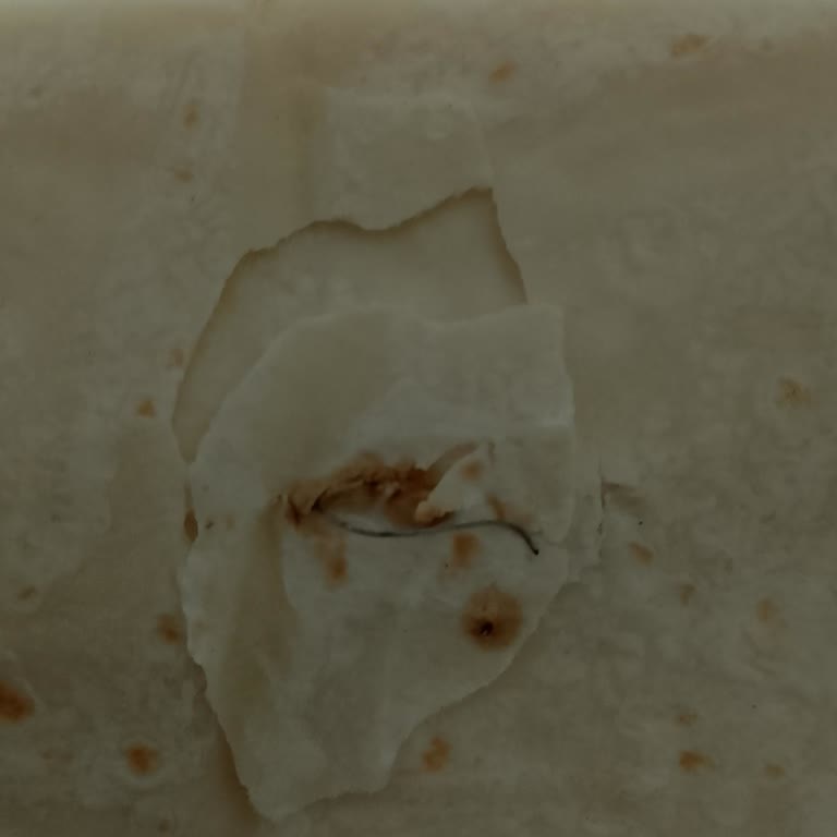 Lavaşta Zımba Telinin Çıktığına Dair Şikayet