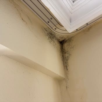 Hasar Tarihi Yanlış Girildi Ve İnceleme Yapılmadan Çelişkili Karar Verildi