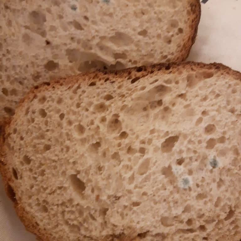 Raflarda Satılan Küflü Ve Süresi Geçmiş Ekmek İçin İade Ve Denetim Talebi