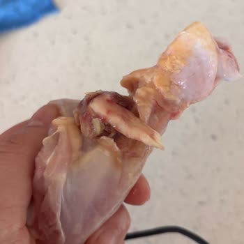 Bozulmuş Baget But Ve Tarih Eksikliği İçin İade Talebi