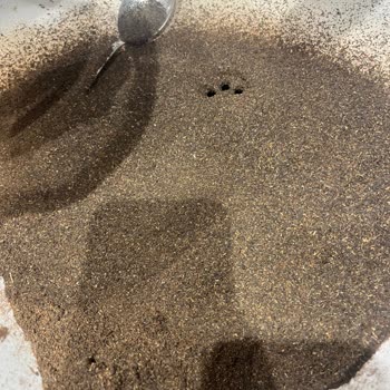 Boston Market Siyah Çayında Toz Sorunu Ve Geri Ödeme Talebi