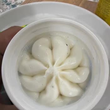 Dondurmanın İçinde Karınca Ölü Ve Böcek Tüyleri