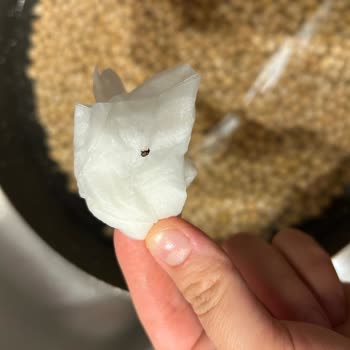 Yardım Kolisindeki Yoğurtta Canlı Böcek Bulunması Hijyen Ve Sağlık Endişesi Yaratıyor