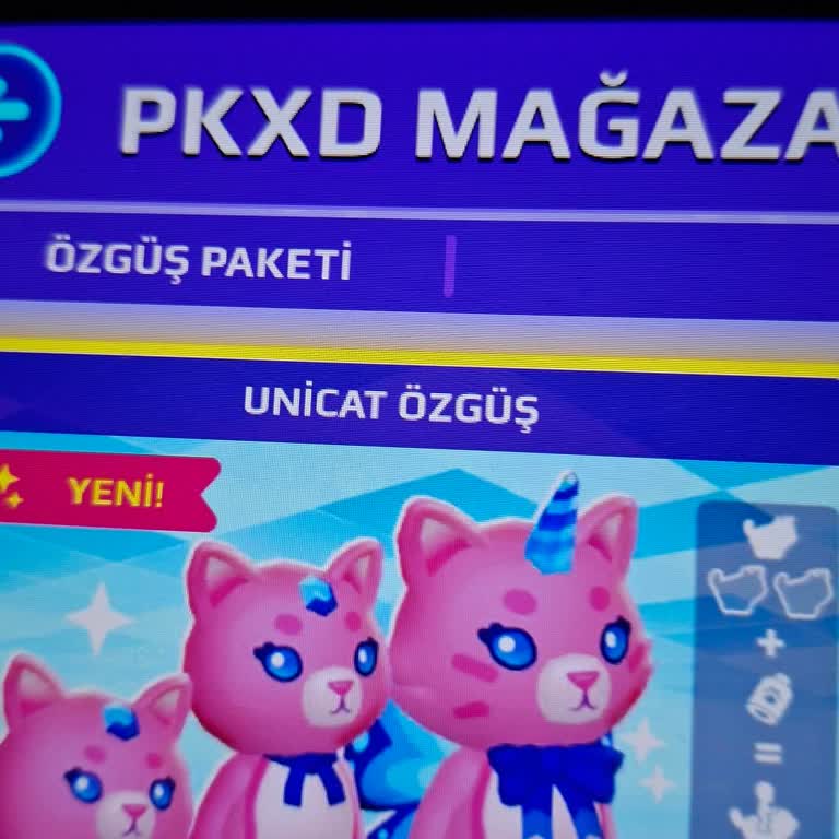 Ödenen Petlerin Hesaptan Kaybolması Ve Yeniden Tanımlanması