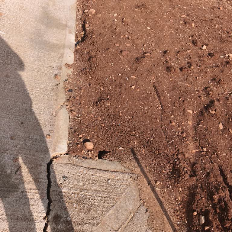 Kayıp Çiçek Siparişi İçin Hızlı Çözüm Ve İade Talebi