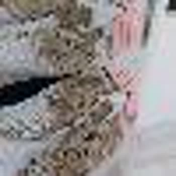 Skechers Ayakkabısının Tabanı Hızlı Aşındı, Müşteri Hizmetleri Yardımcı Olmadı