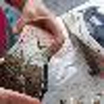 Skechers Ayakkabısının Tabanı Hızlı Aşındı, Müşteri Hizmetleri Yardımcı Olmadı