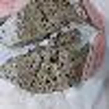 Skechers Ayakkabısının Tabanı Hızlı Aşındı, Müşteri Hizmetleri Yardımcı Olmadı