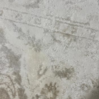 Trendyol'dan Aldığım Bissell Ürünün Iade Reddi