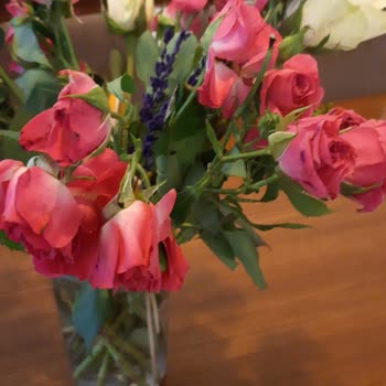 Sipariş Edilen Çiçekler Soluk Ve Küçük, Resimdekinden Farklı