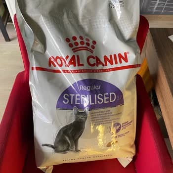 Pet Merkezi Kedi Maması ve Yanıtsız İletişim