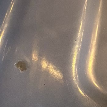 Ayıplı Fırının İç Kaplamasındaki Boya Dökülmesi Ve Yeni Ürün Talebi