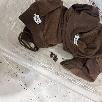 Beymen Club Ürününde Yıkama Hatası ve Kalitesizlik Şikayeti