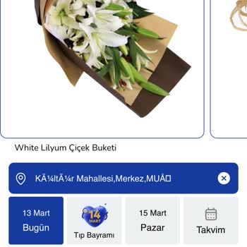 İlan Edilen Görseldeki Lilyum Buketinin Kalitesiz Teslimatı Tam İade Talebi
