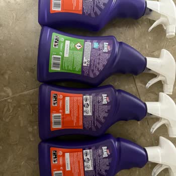 Süresi Geçmiş Deterjanlar Nefes Kesici Etki Ve Hamilelik Riski