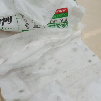 Süresi Dolmamış Markadan Temizlik Havlusunda Küf