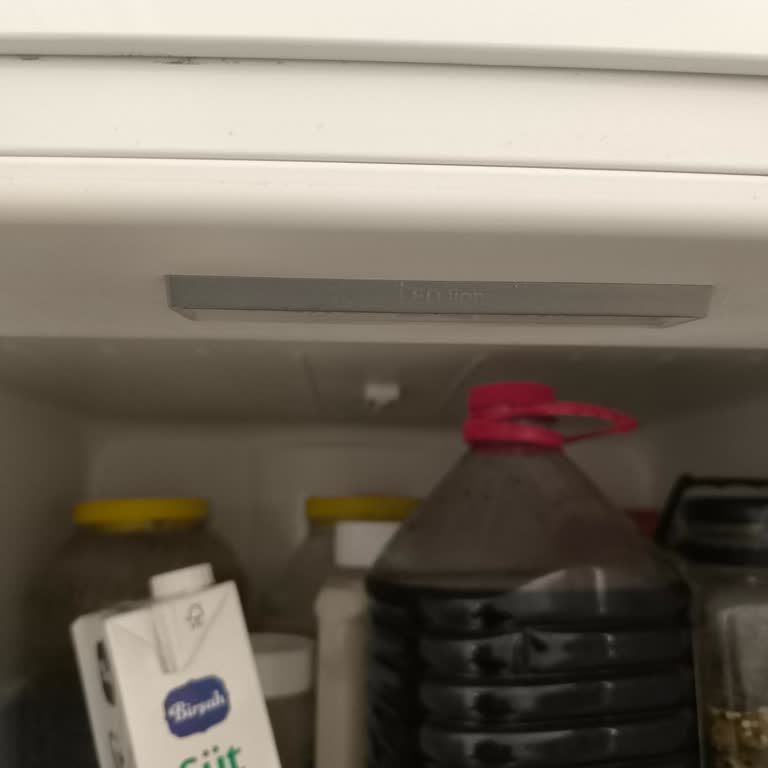 Bosch KGN56VW30N İç LED Işığı Arızası Ve Kalıcı Çözüm Talebi