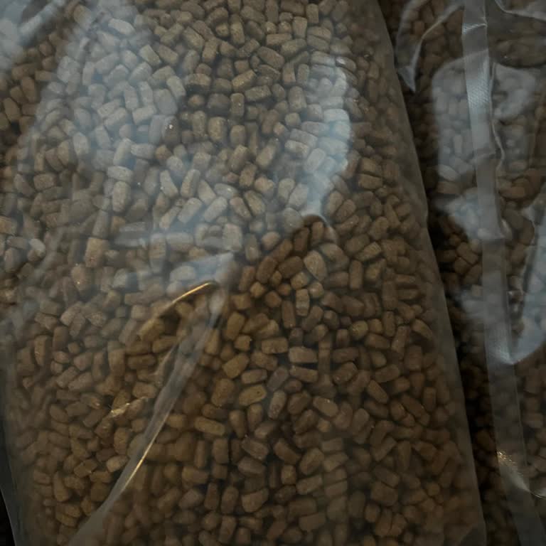 Orijinal Paket Yok, Sahte Kedi Maması Gönderildi