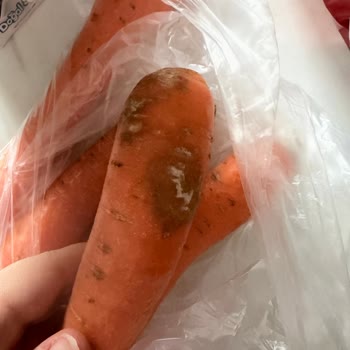 Çürük Havuç Ve Özür Talebi: Migros Sanal Market'te Özensiz Paketleme