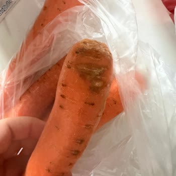 Çürük Havuç Ve Özür Talebi: Migros Sanal Market'te Özensiz Paketleme