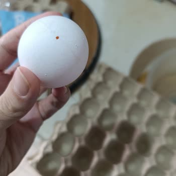 BİM’de Bili Bili Yumurtasında Delik: Güven Zedelenmesi