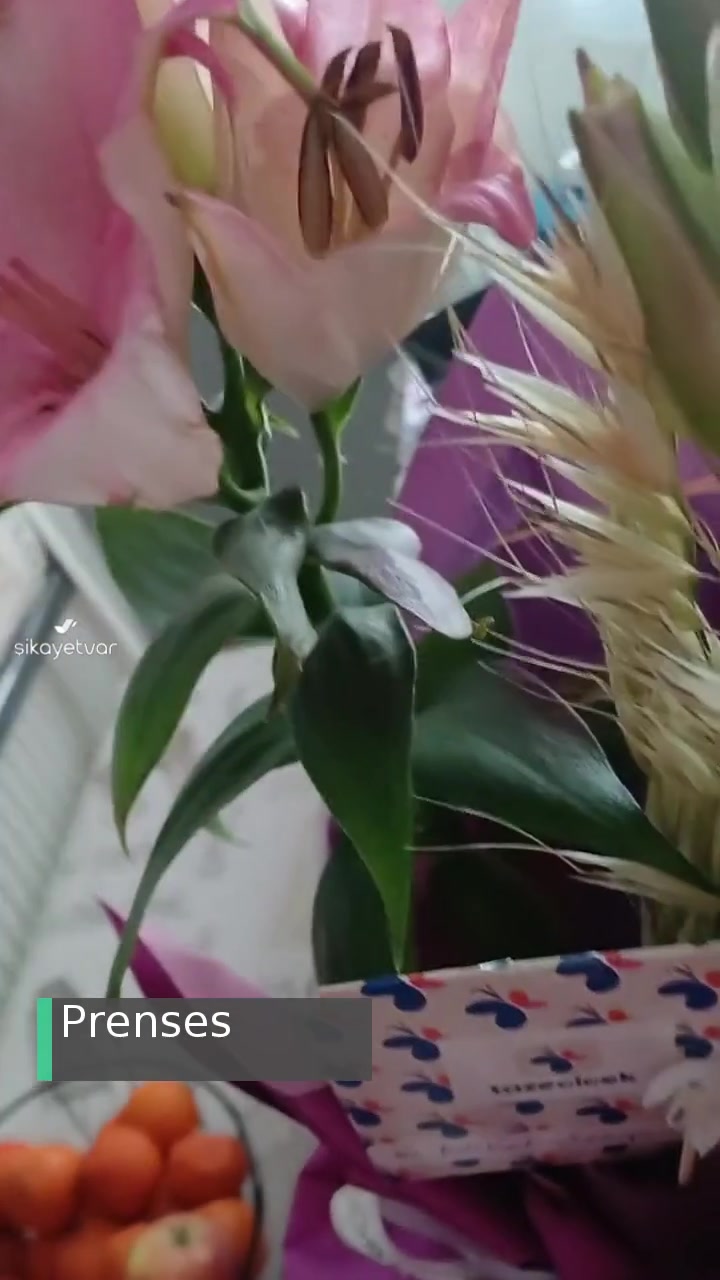 Taze Çiçek | Tazecicek.com Zarar Görmüş Lilyum videonun kapak resmi