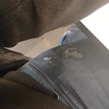 Köfteci Yusuf Hijyen ve Servis Aksaklıkları Tatlıda Karasinek Şoku