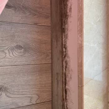 Makro İnşaat'tan Küf Ve Rutubet Sorunu: Yaşam Alanı Sağlığımız Tehlikede