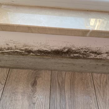 Makro İnşaat'tan Küf Ve Rutubet Sorunu: Yaşam Alanı Sağlığımız Tehlikede