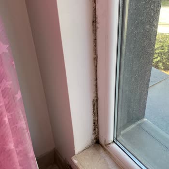 Makro İnşaat'tan Küf Ve Rutubet Sorunu: Yaşam Alanı Sağlığımız Tehlikede