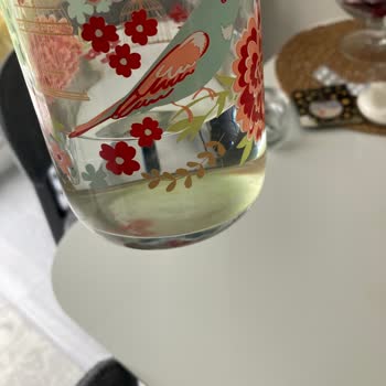 Yosunlu Su Şişesinde Hamilelikte Sağlık Endişesi