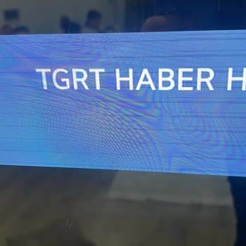 LG OLED TV'de Sürekli Yatay Çizgiler Ve Garanti Dışı Ücretsiz Değişim Talebi