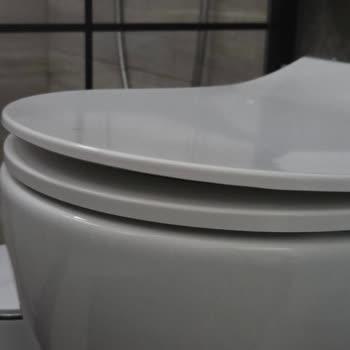 Bocchi Wall-Hung Toilets Causing Water Leaks and Float Valve Failures