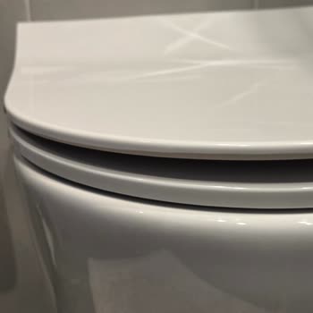 Bocchi Wall-Hung Toilets Causing Water Leaks and Float Valve Failures