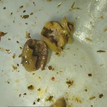 BİM Zeo Çürük Zeytinleri