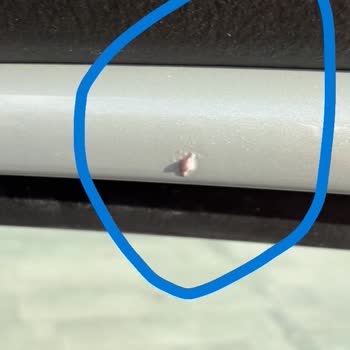 Volvo EX30’da Boya Sorunu, Bayi İhmali Ve Çözüm Bekleniyor