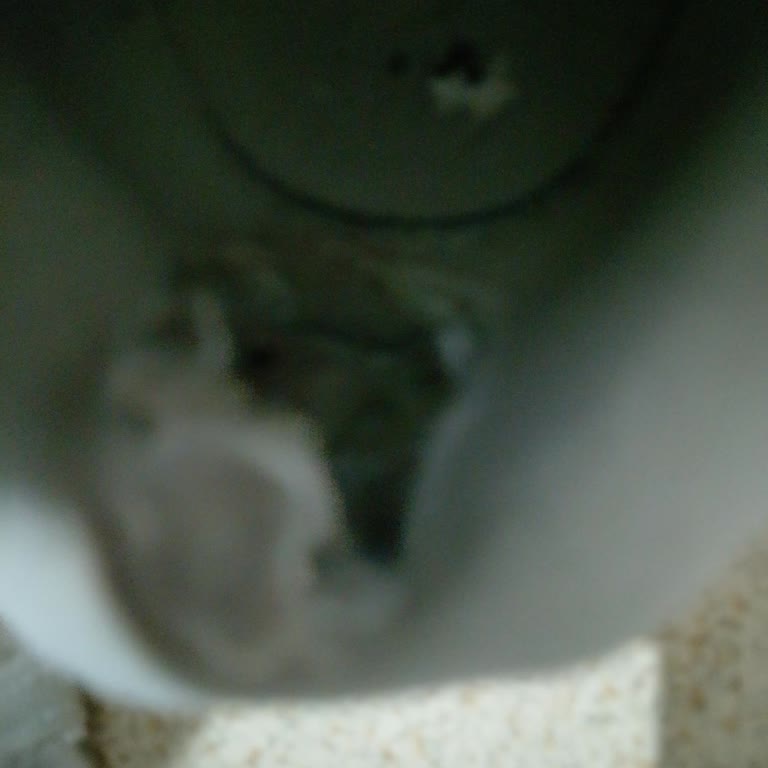 Adidas Ayakkabısının Topuk Deformasyonu Oğlumun Ayağını Yaraladı