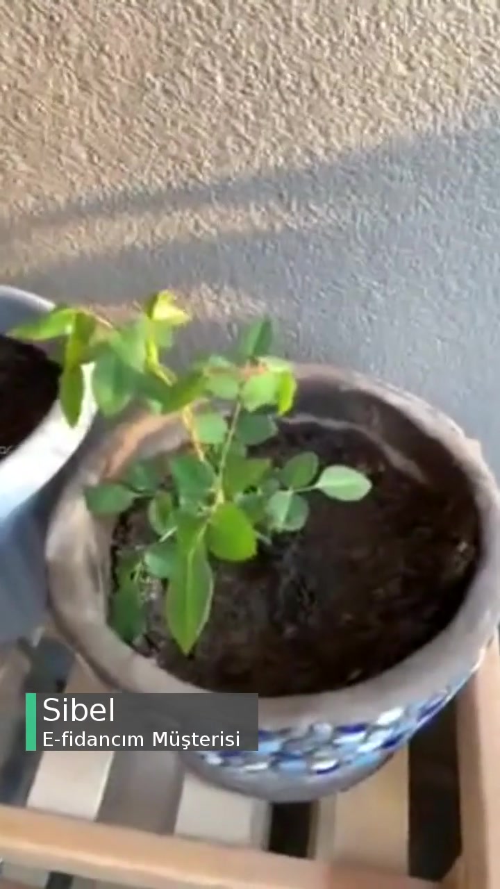 E-fidancım Müşteri Memnuniyetsizliği videonun kapak resmi