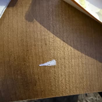 Taşdelen McDonald's Şubesinde Plastik Parça Çıkan Big Mac Şikayeti