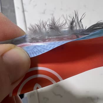 Hasata Basmati Pirinçte Kuş Tüyü: Gıda Hijyeninde Ciddi Sorun