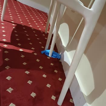 Maltepe Park AVM Mescidinde Temizlik İhmali Ve Saygısızlık