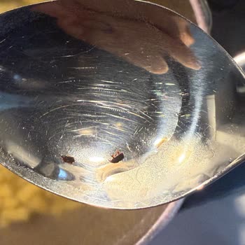 Oba Makarna’da Böcekli Ürün Ve Cevapsız Şirket Yanıtı