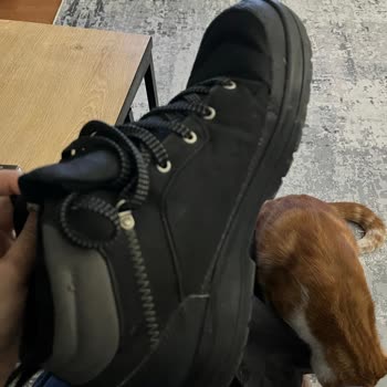 Decathlon'da Bot Değişimi İçin Fiş Bulamama Ve Yetersiz Yardım