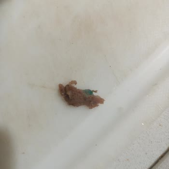 Namet 250 Gr Et Döner Ürününde Yabancı Madde Bulunması Ve Geri Dönüş Alınamaması