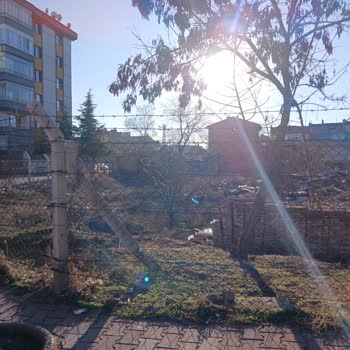 Karatay Belediyesi'nde Metruk Yapı Bahçesi Çöplük Haline Getirildi